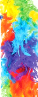 Feather Boas  60gr - Rainbow   SPECIAL $4.75